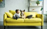 Happy Child Sitting on Yellow Sofa With Pets