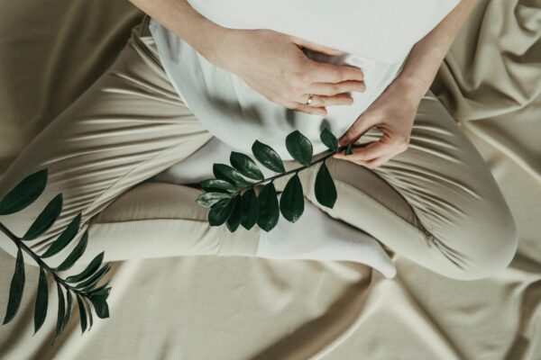 Pregnancy, maternity, eco sustainable lifestyle, gynecology concept.