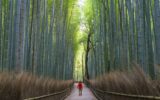Silent Walking