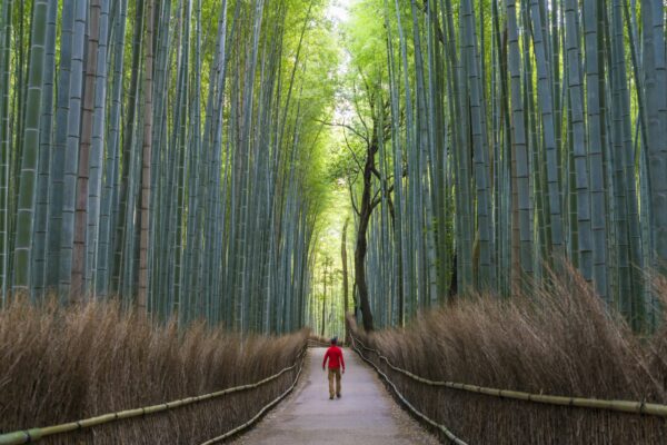 Silent Walking