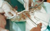 A doctor holds a new born baby whilst another doctor cuts the Umbilical cord
