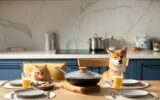 Funny pets. Dog and cat waiting for breakfast on a chairs his owners