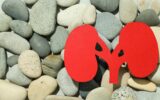 Kidneys on the sand with stones, National Kidney Month.