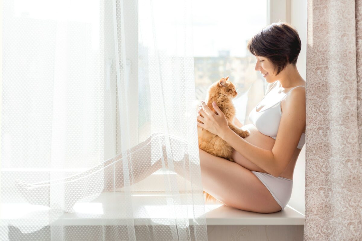 Pregnant woman in white underwear with cute ginger cat. Risk of infection toxoplasmosis.
