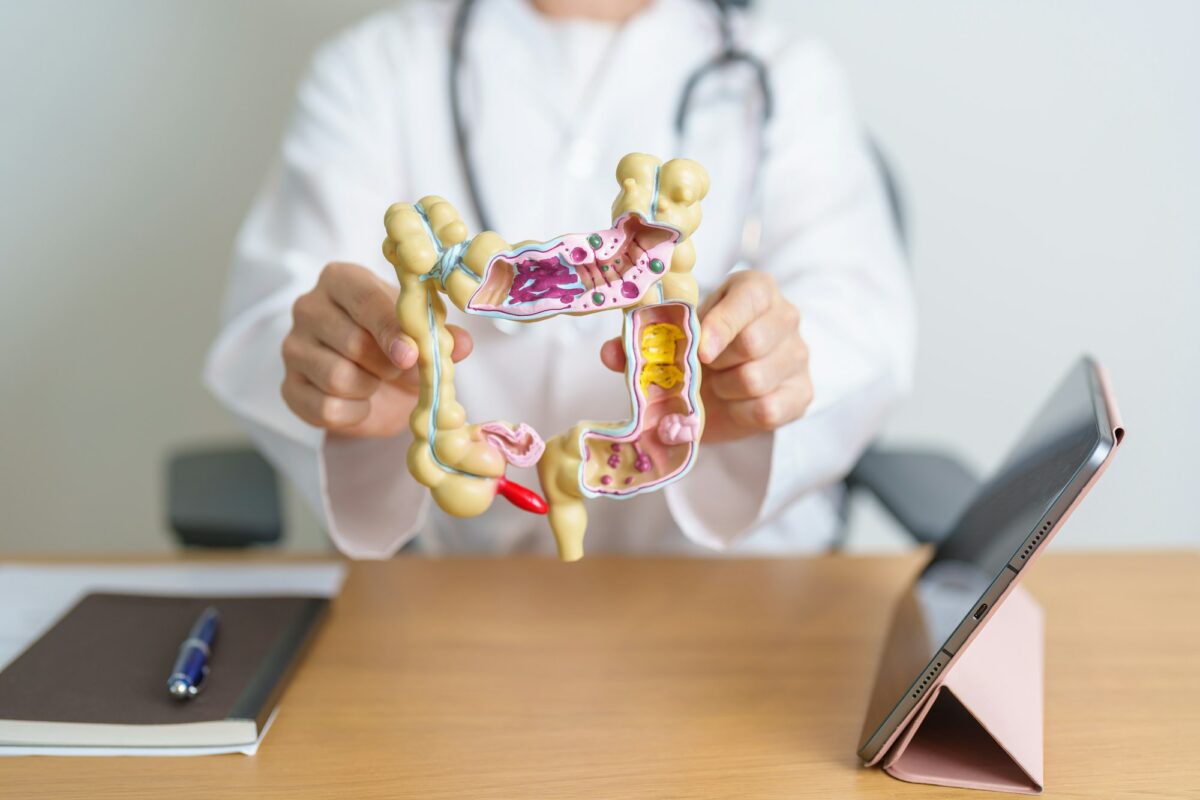 Doctor with human Colon anatomy model and tablet.