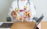 Doctor with human Colon anatomy model and tablet.
