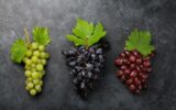 Colorful grapes