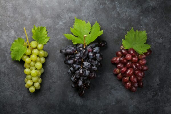 Colorful grapes