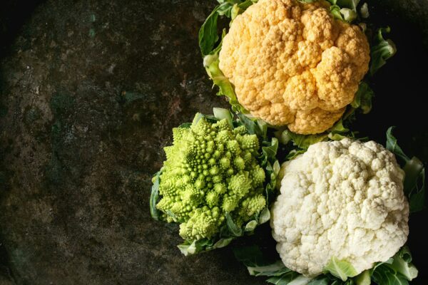 Variety of cauliflower