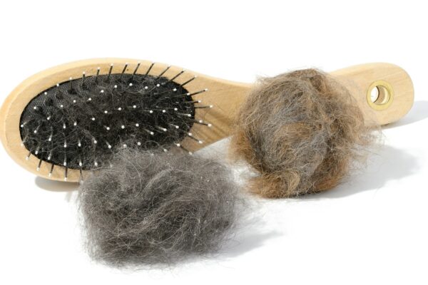 Wooden brush for combing animal fur and gray balls of cat fur on a white background