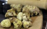 Black and White Truffle Mushroom