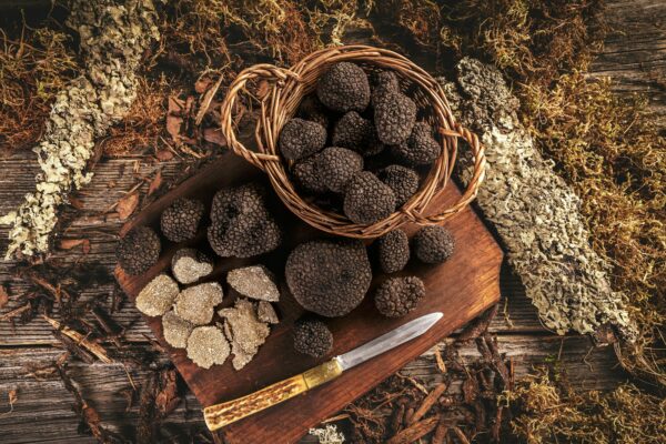 Gorgeous black truffle