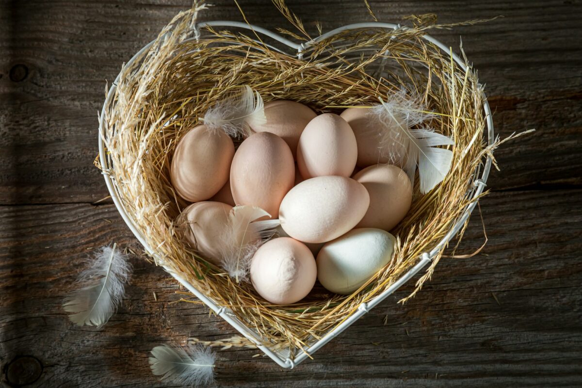 Healthy eggs from the farm. Eggs from free range.