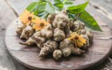 Jerusalem artichoke tubers. Freshly harvested roots sunchoke, topinambur lambchoke.