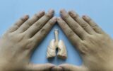 World pneumonia day,tuberculosis TB day,Lung Health Day,asthma day.