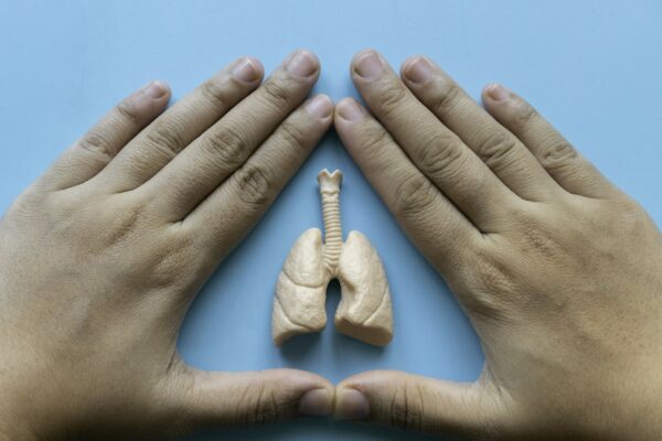 World pneumonia day,tuberculosis TB day,Lung Health Day,asthma day.
