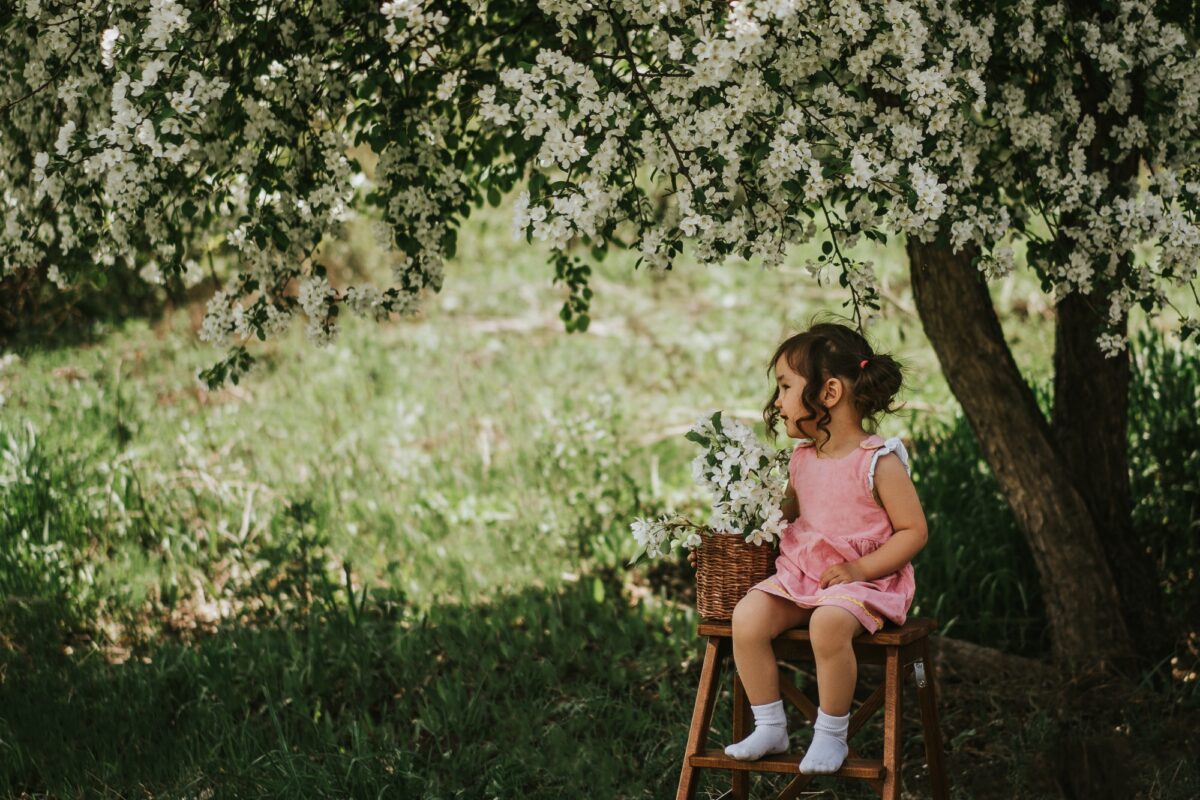 Asian girl sitting on stepladder under an apple tree