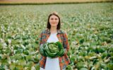 Copy space background of vegetable field young woman a head of cabbage in hands smile on face.