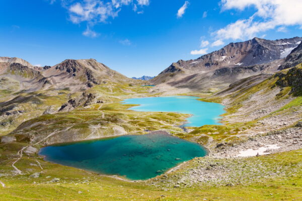 alpi-svizzere